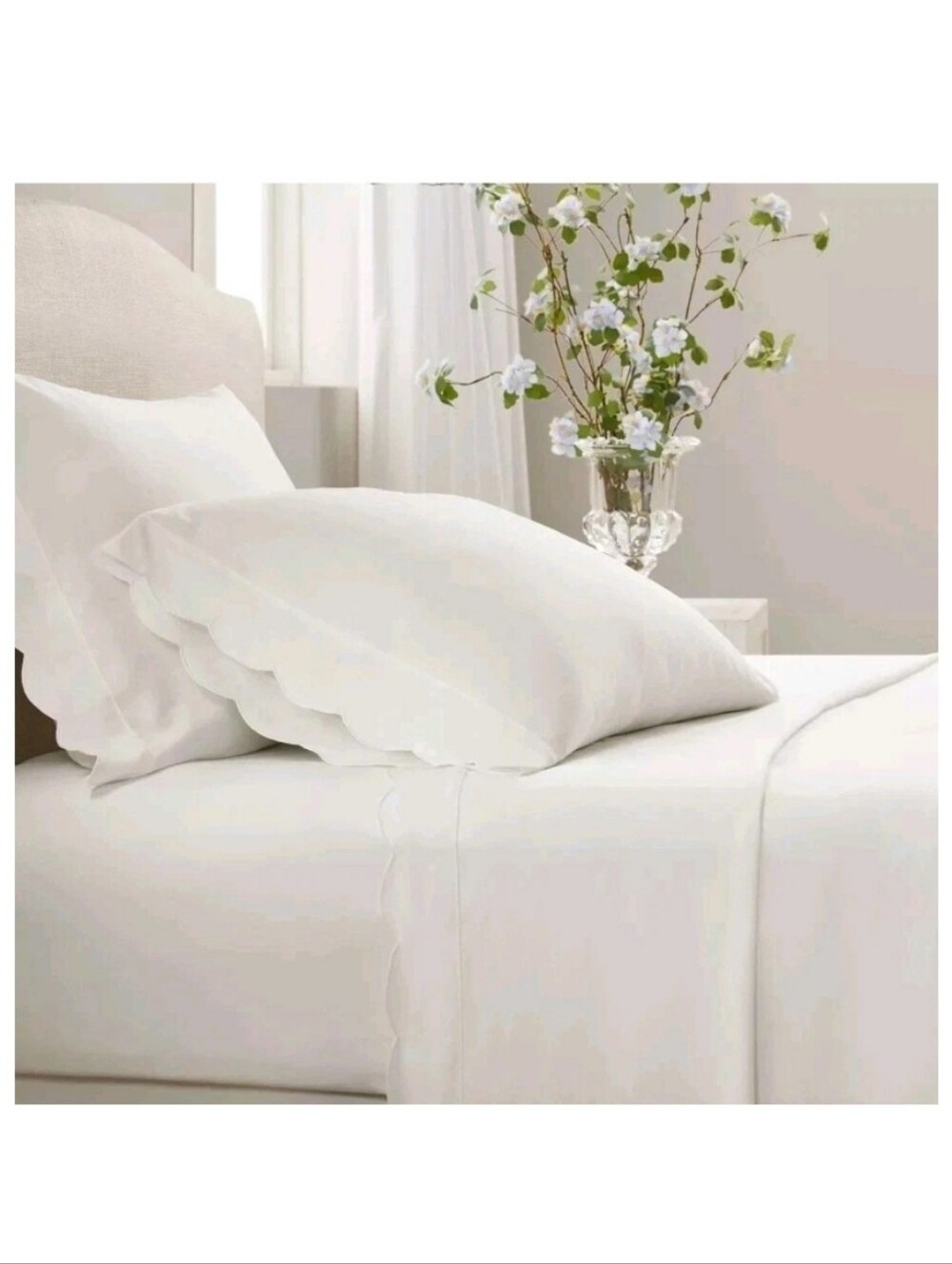 Armoire Collection Coquette Queen Sheet Set White Scalloped Edge Detail 4pc